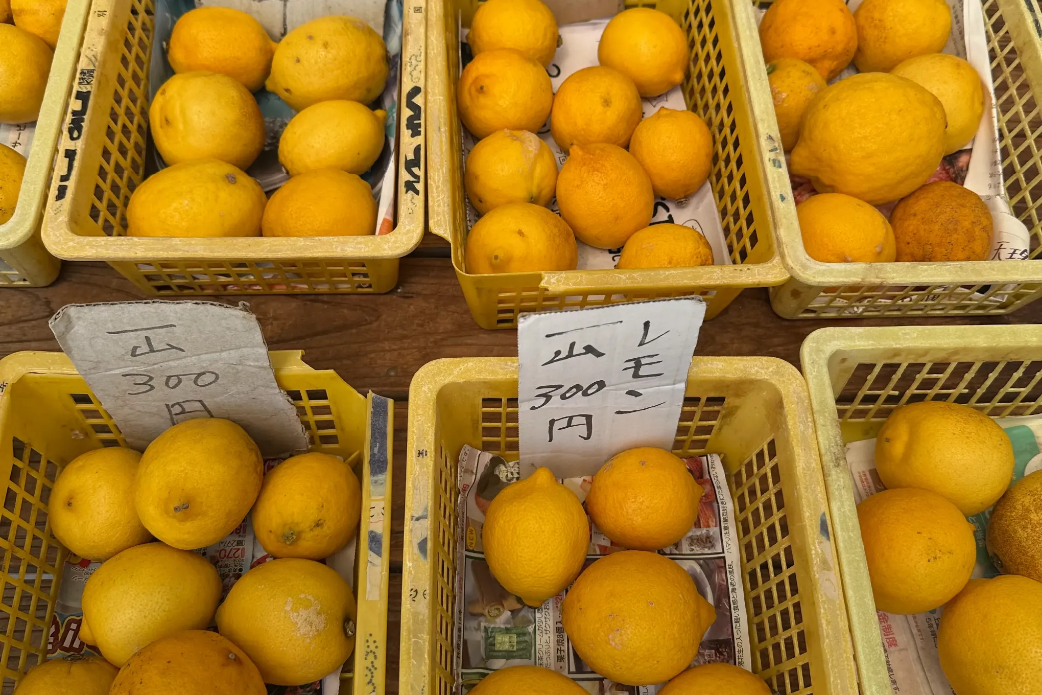 藤沢さん家 夕景